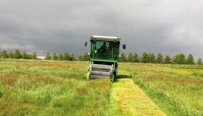 Starfsemin verður efld