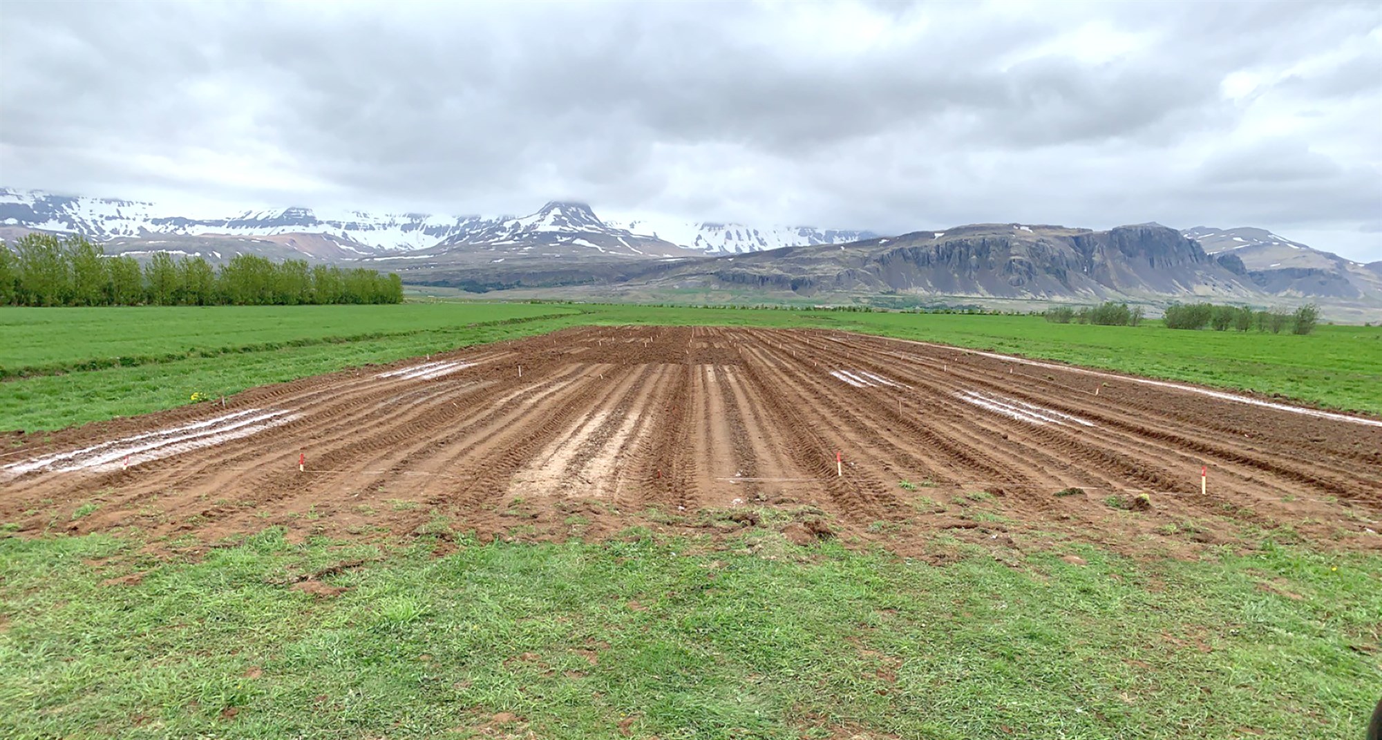 Hækkun sýrustigs ræktunarjarðvegs