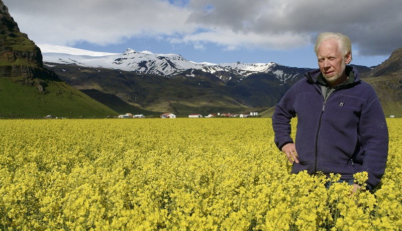 Lífdísilverksmiðja myndi skila 15 prósenta hagnaði