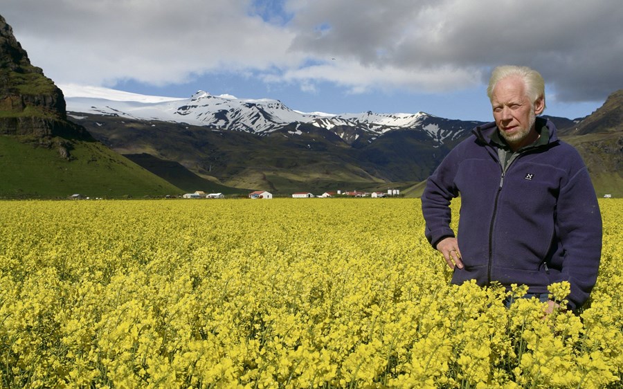 Ólafur Eggertsson, bóndi á Þorvaldseyri undir Eyjafjöllum, í repjuakri sínum, en hann tók þátt í tilraunaverkefni Siglingastofnunar.
