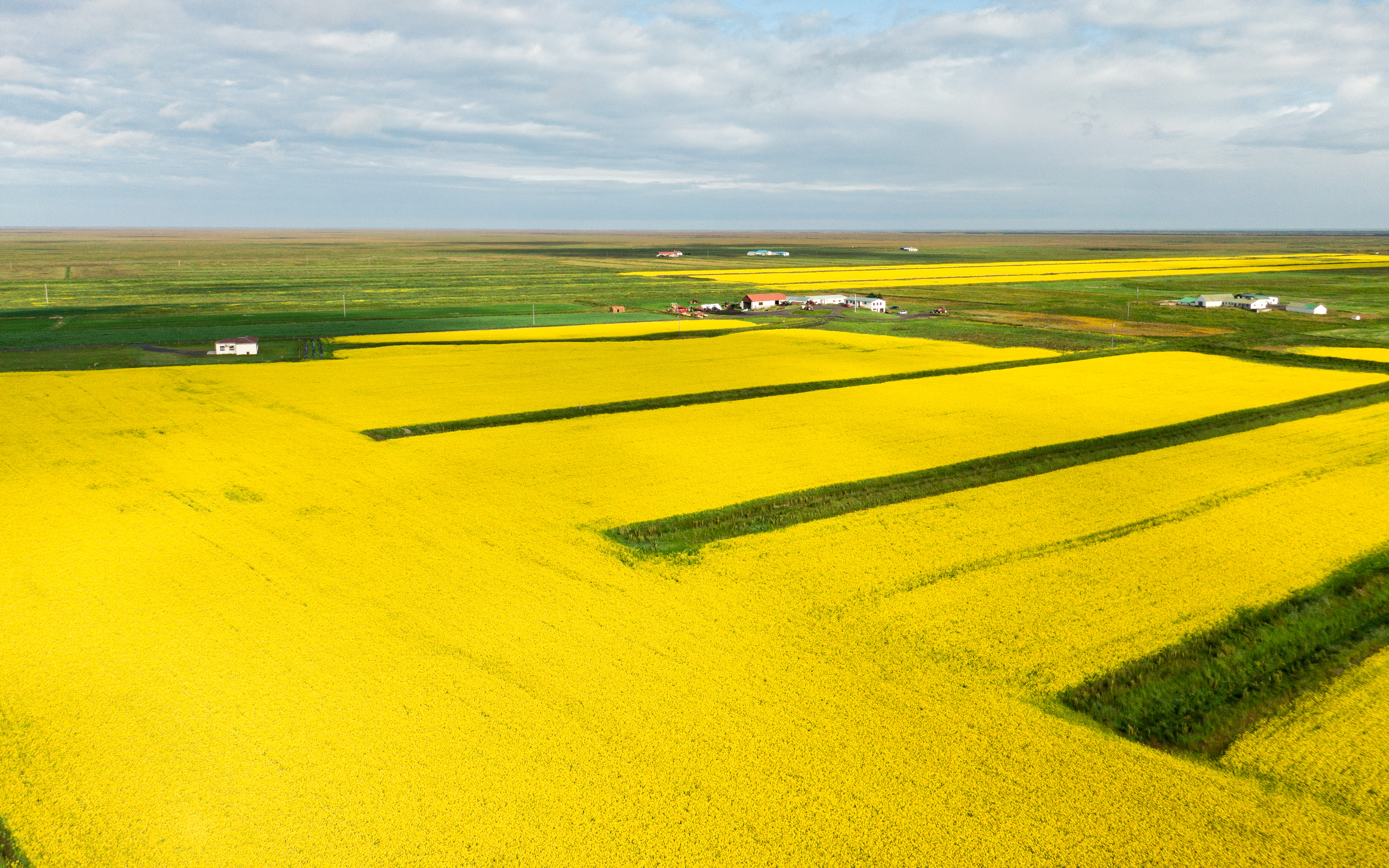 Búinn að uppskera bygg og repju en segir hafrana geta staðið langt fram á haust