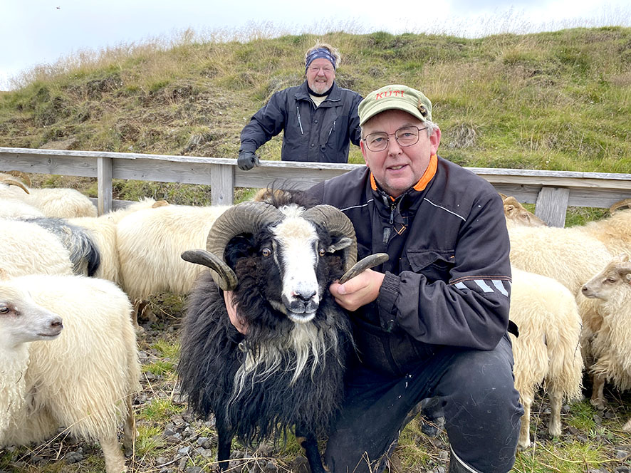 Réttað hjá félagi tómstundabænda