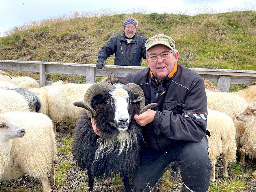 Aðalsteinn Árni Baldurson með félaga sínum, forystuhrútnum Mola.