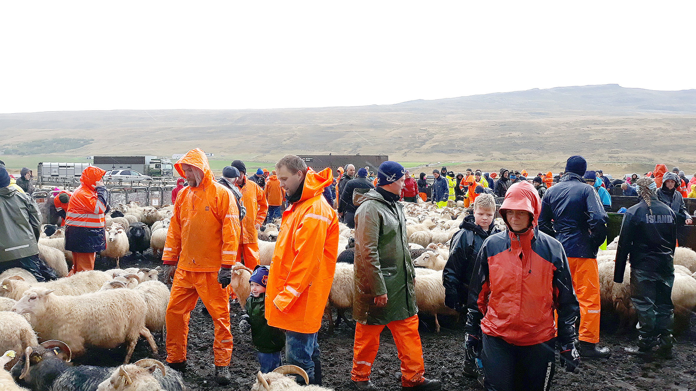 Ég valdi að vera bóndi