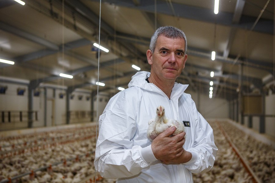 Jón Magnús Jónsson er formaður deildar alifuglabænda hjá Bændasamtökum Íslands og rekur Reykjabúið ásamt fjölskyldu sinni. Hér heldur hann á kjúklingi sem er um viku
frá því að klára 32 til 35 daga eldisferil.