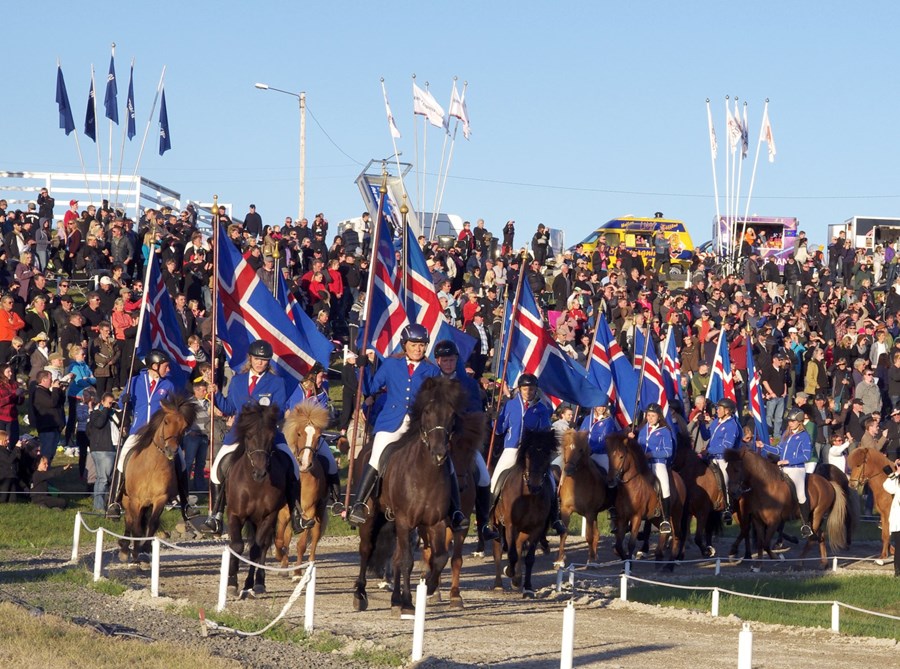 Landsmót hestamanna í Víðidal í Reykjavík 2012.