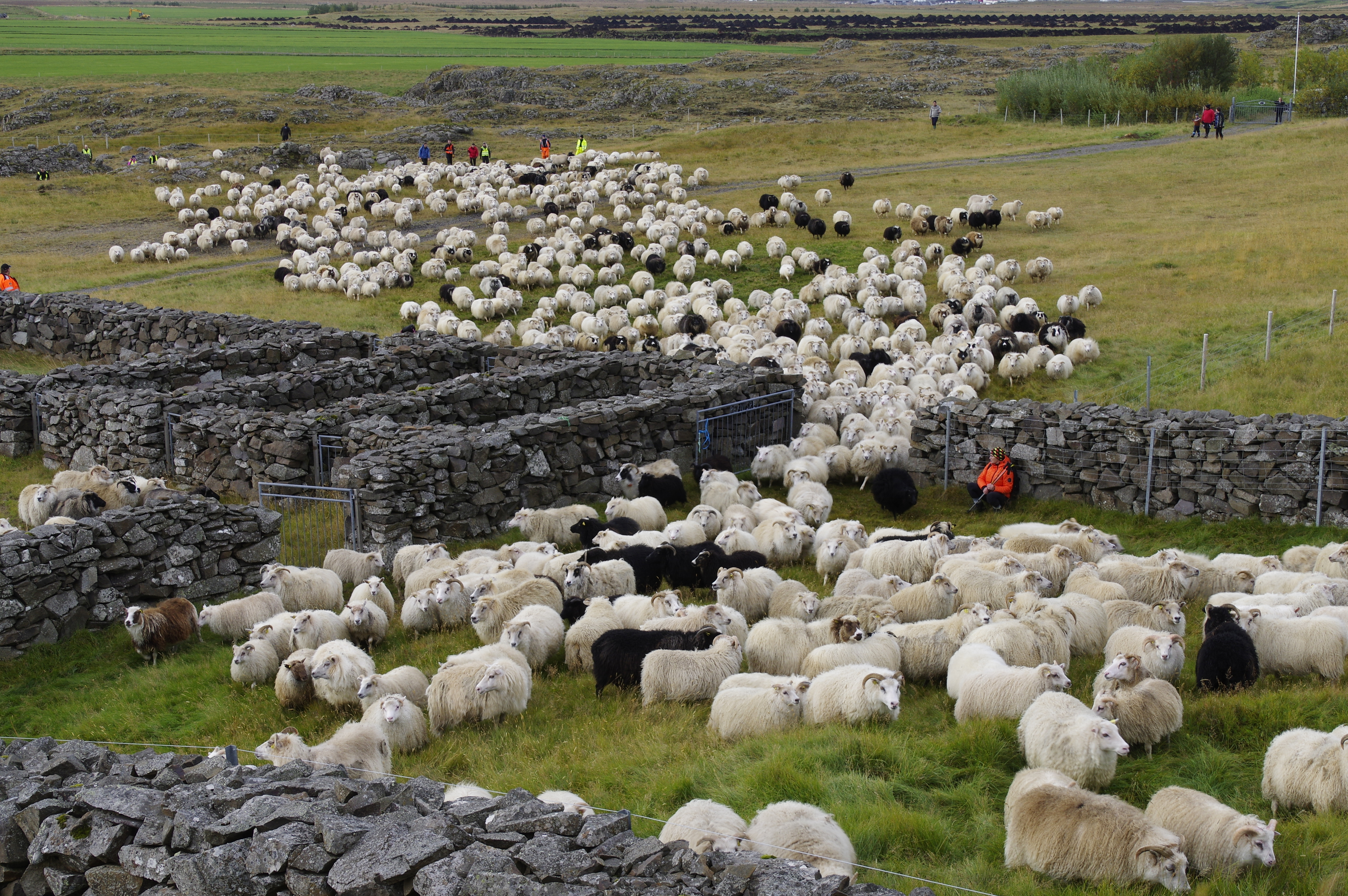 Fjár- og stóðréttir 2018