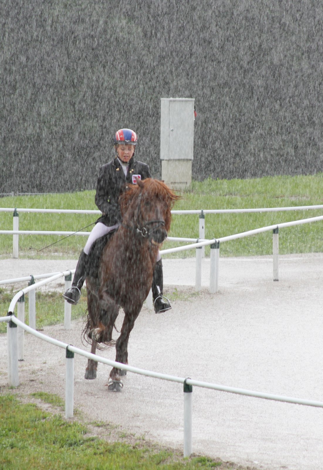 Bölvun hestamannamótanna