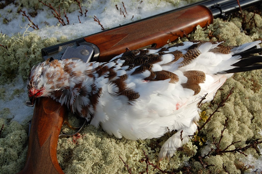 Margir fengu vel í soðið