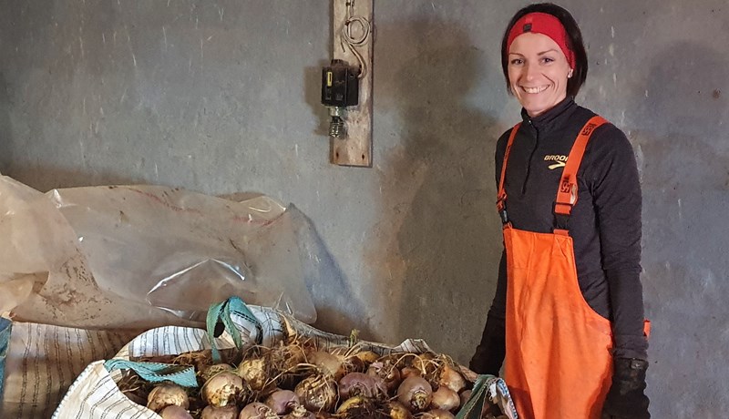 Eini ræktandinn á rófufræi í landinu fyrir íslenska bændur