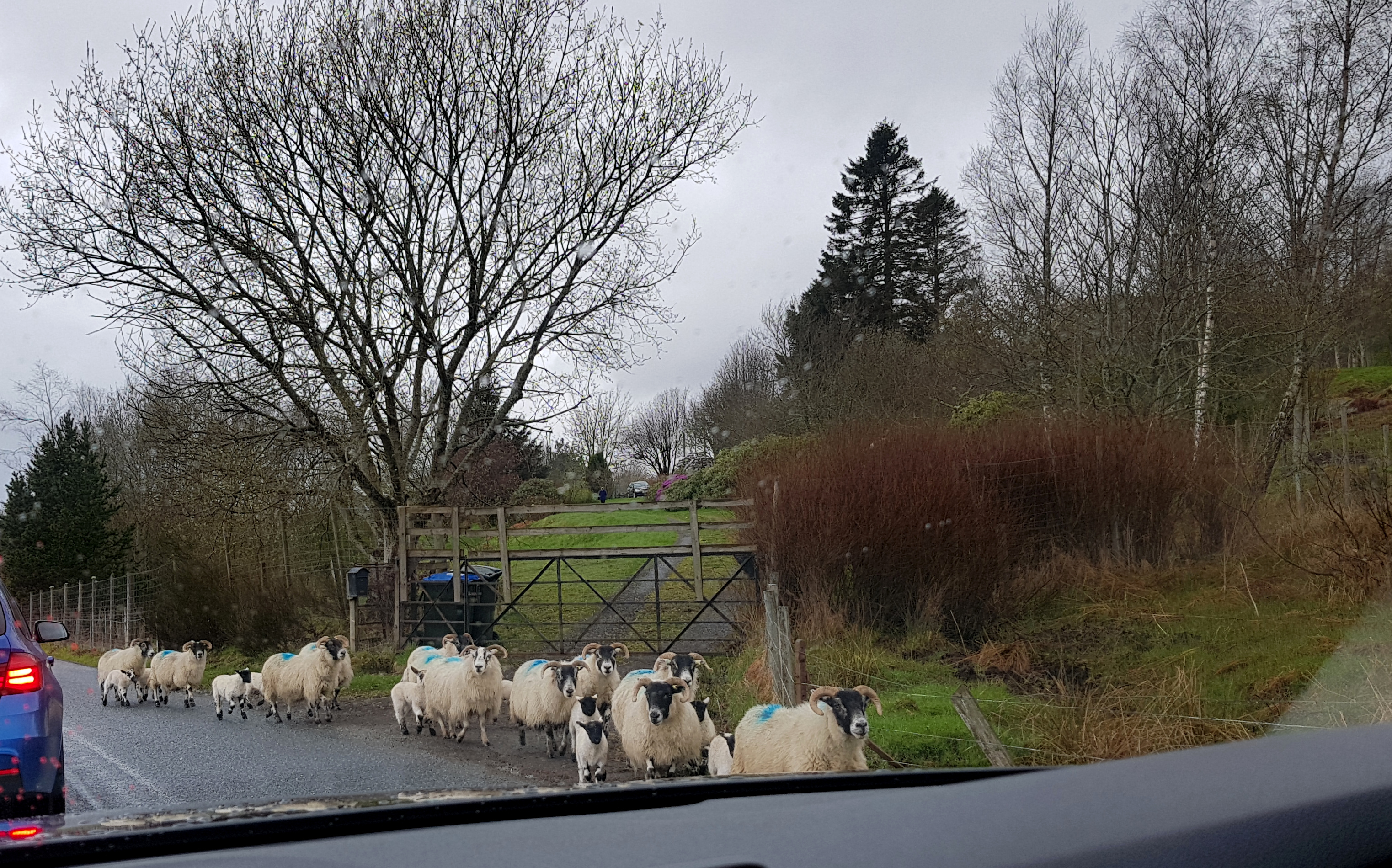 Ættum við að hertaka skosku eyjarnar?