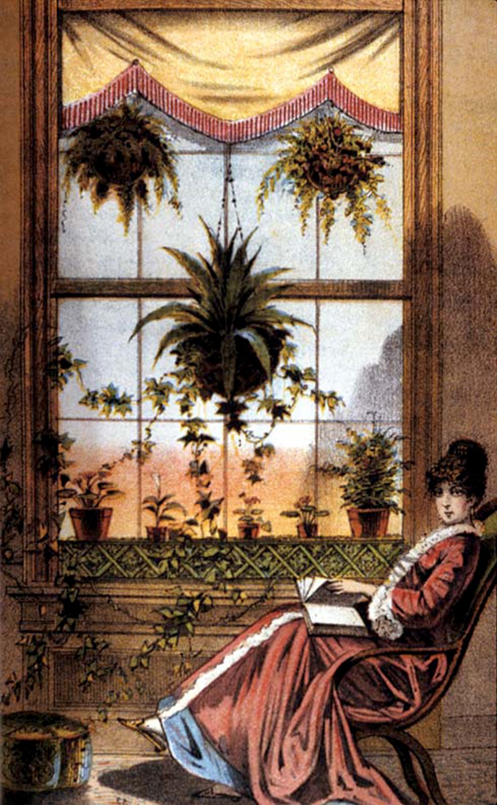 Pottaplöntur og hamingjan