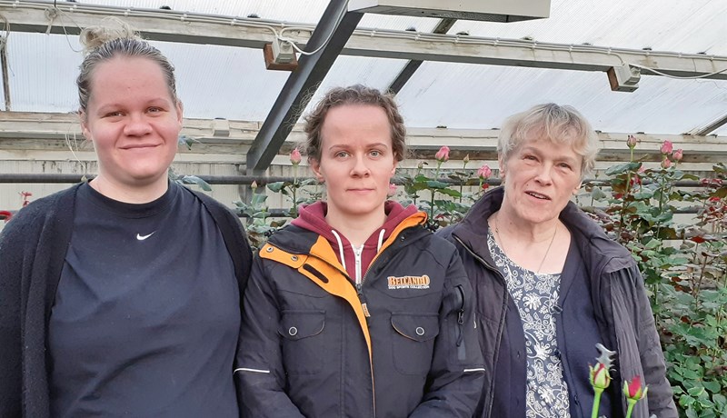 Rósirnar á Starrastöðum nýttar til manneldis