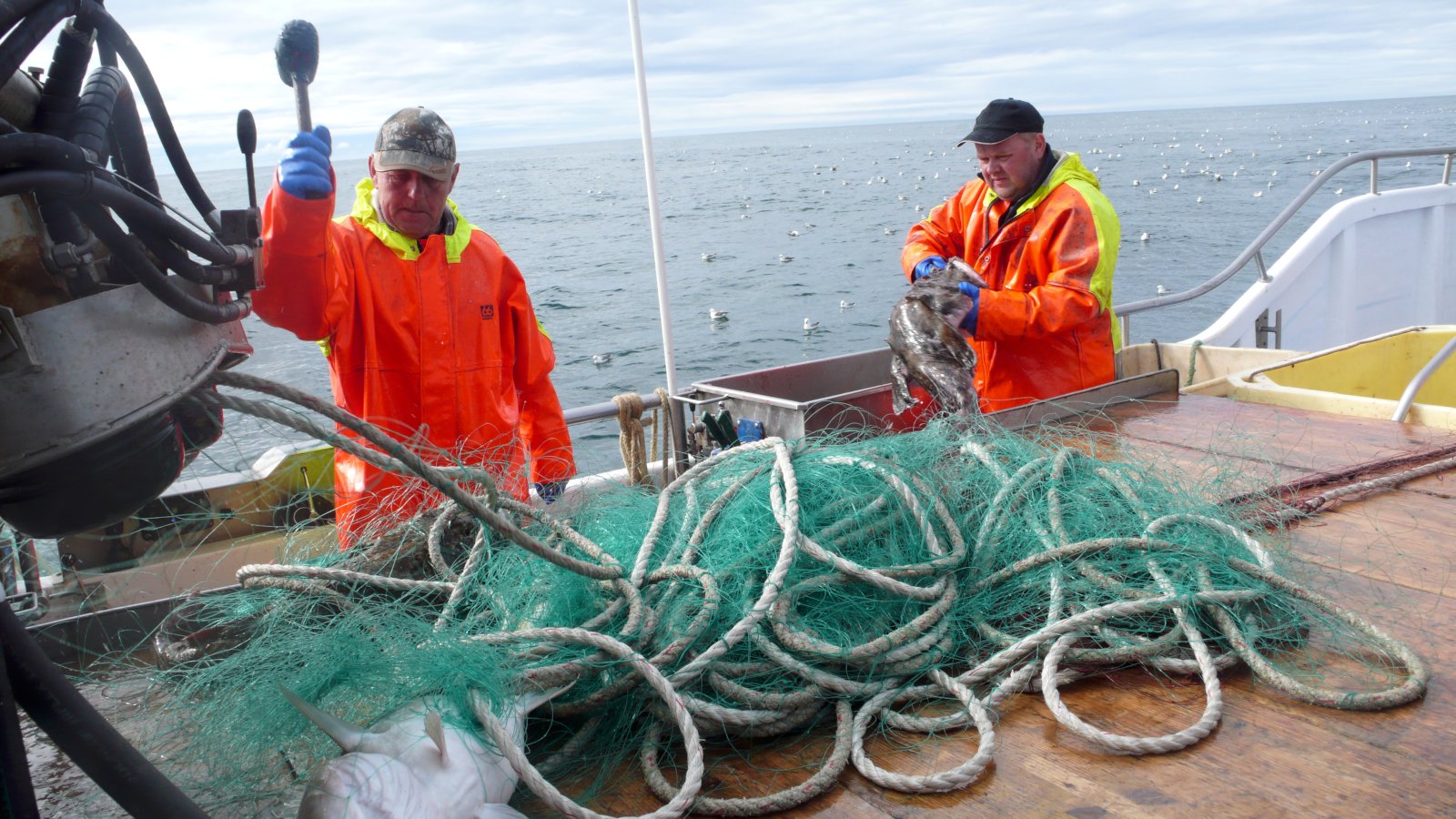 Aukin framlög til hafrannsókna í fjármálafrumvarpinu 2018