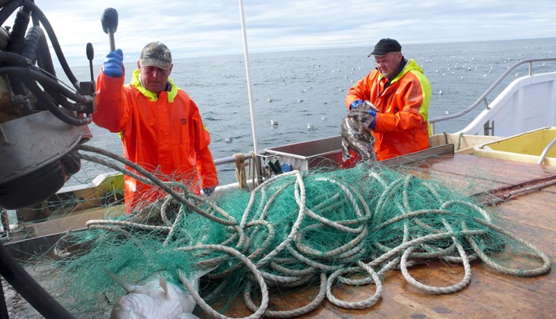 Aukin framlög til hafrannsókna í fjármálafrumvarpinu 2018