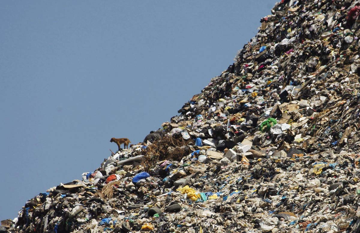 Förgun áhættuúrgangs