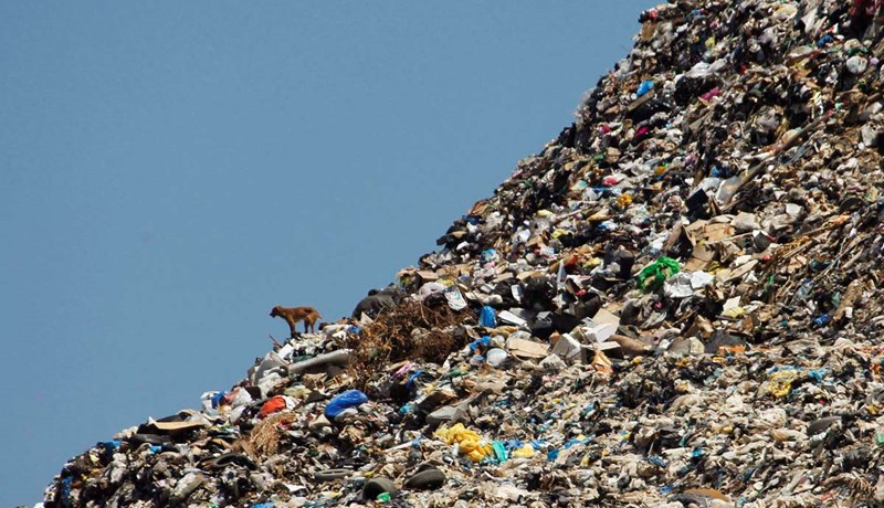 Förgun áhættuúrgangs