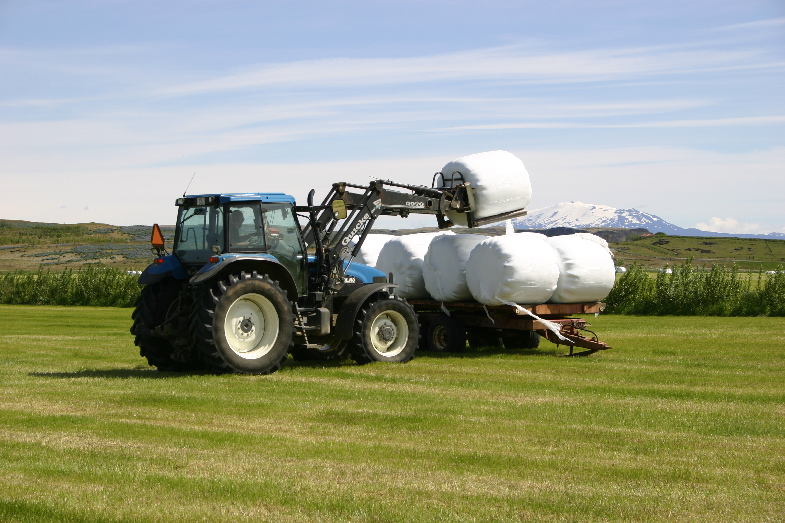 Mögulega slakað á skilyrðum um innflutning á heyi til Noregs