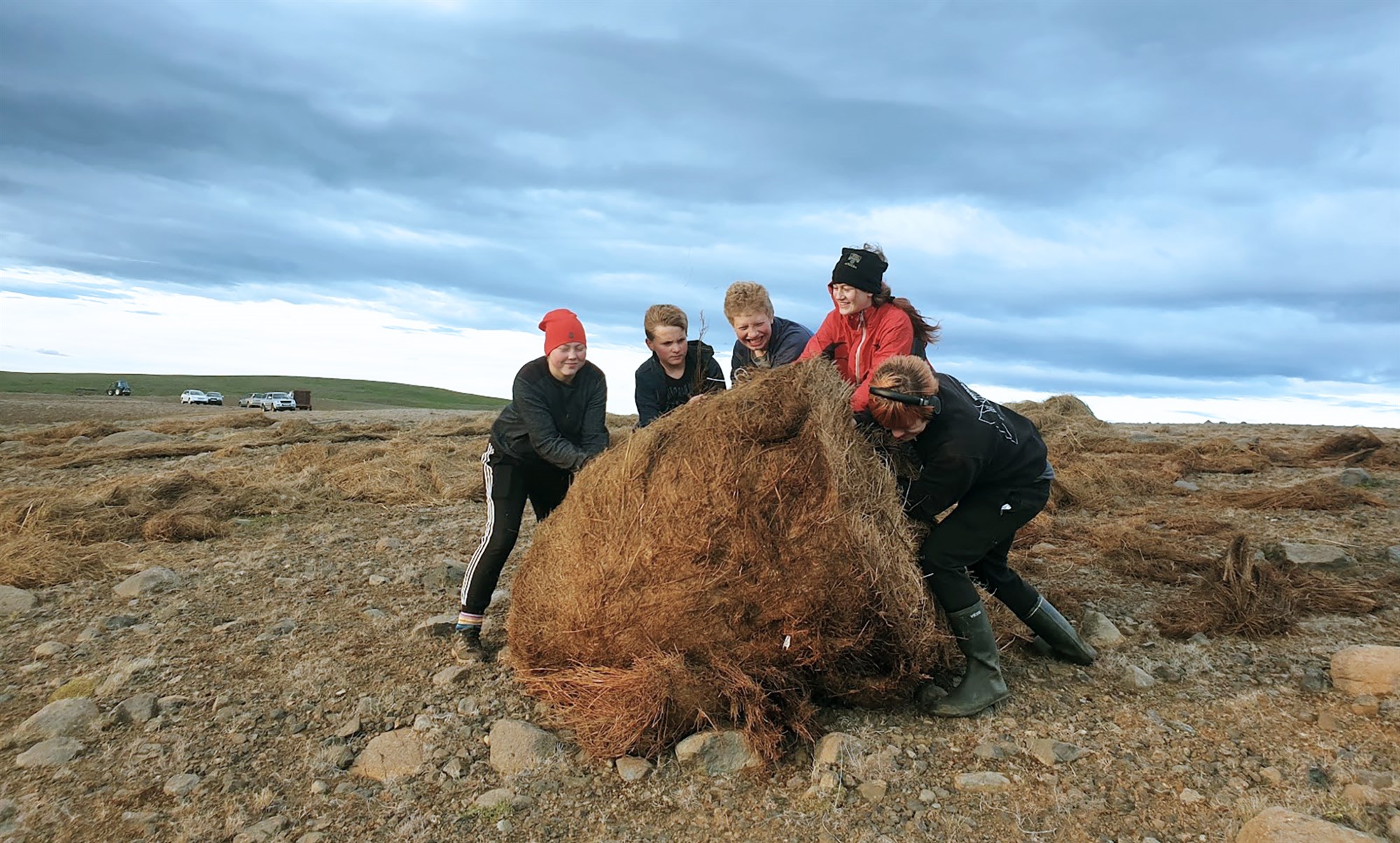Þingeyingar í sóknarhug