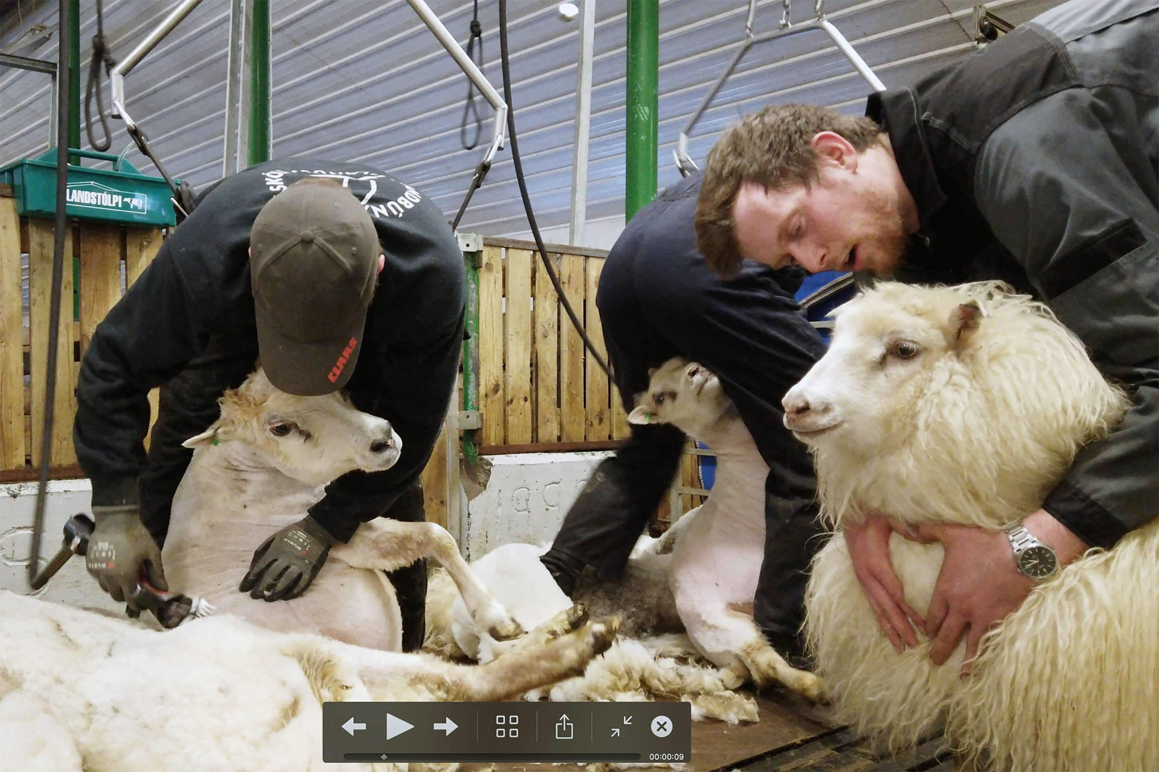 Ullin í nútíð og framtíð