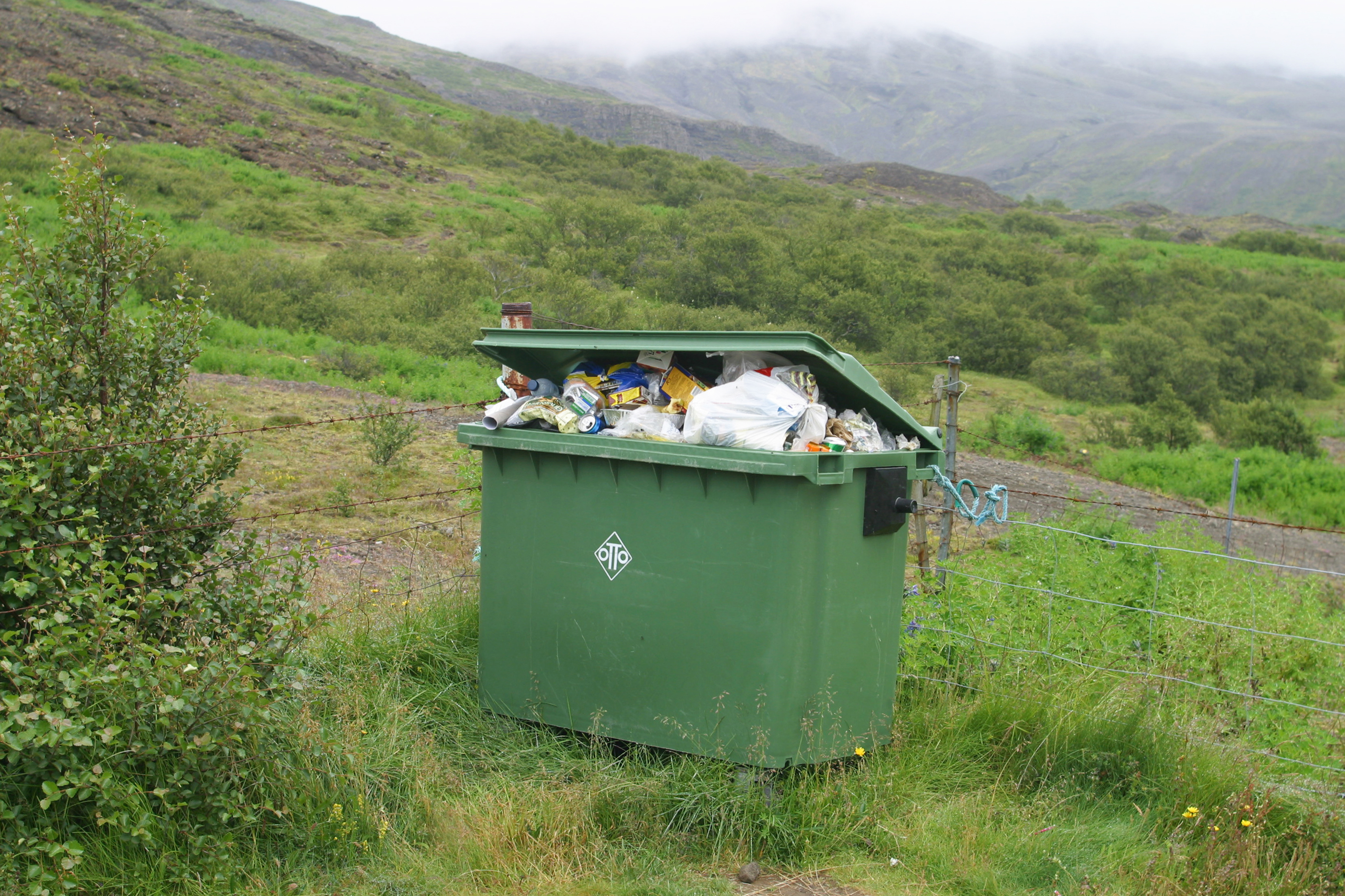 Megi &#254;a&#240; byrja hj&#225; m&#233;r