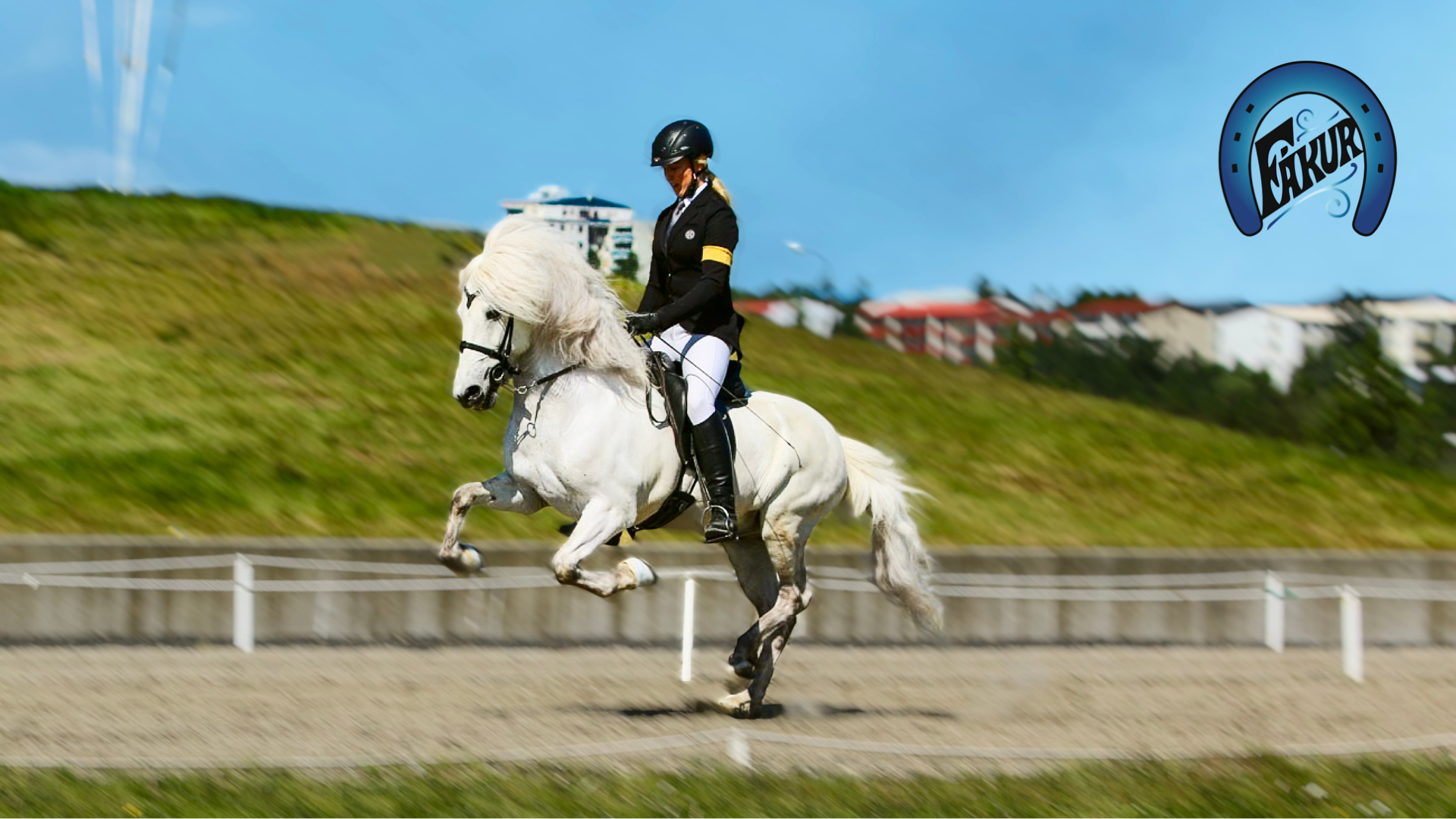 Heimsmet í skráningum