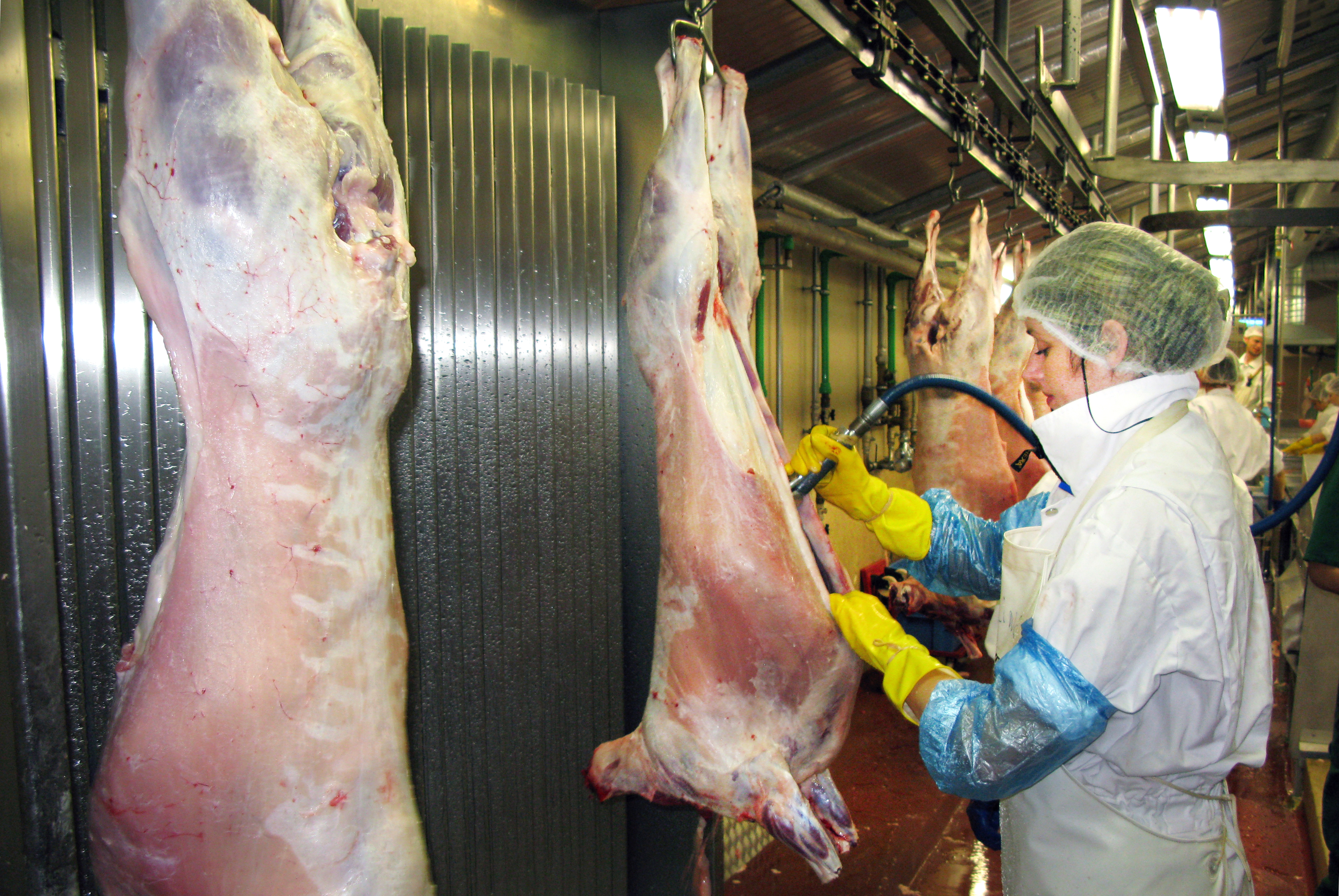 Afurðastöðvar greiða sauðfjárbændum uppbætur