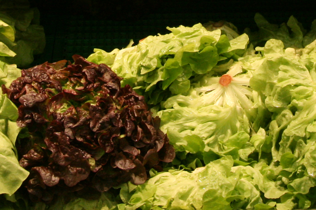 Óþvegið innflutt salat olli veikindum