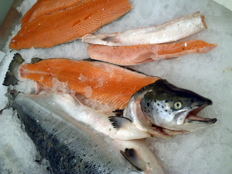 Fölsuð vottorð notuð til að villa fyrir uppruna lax