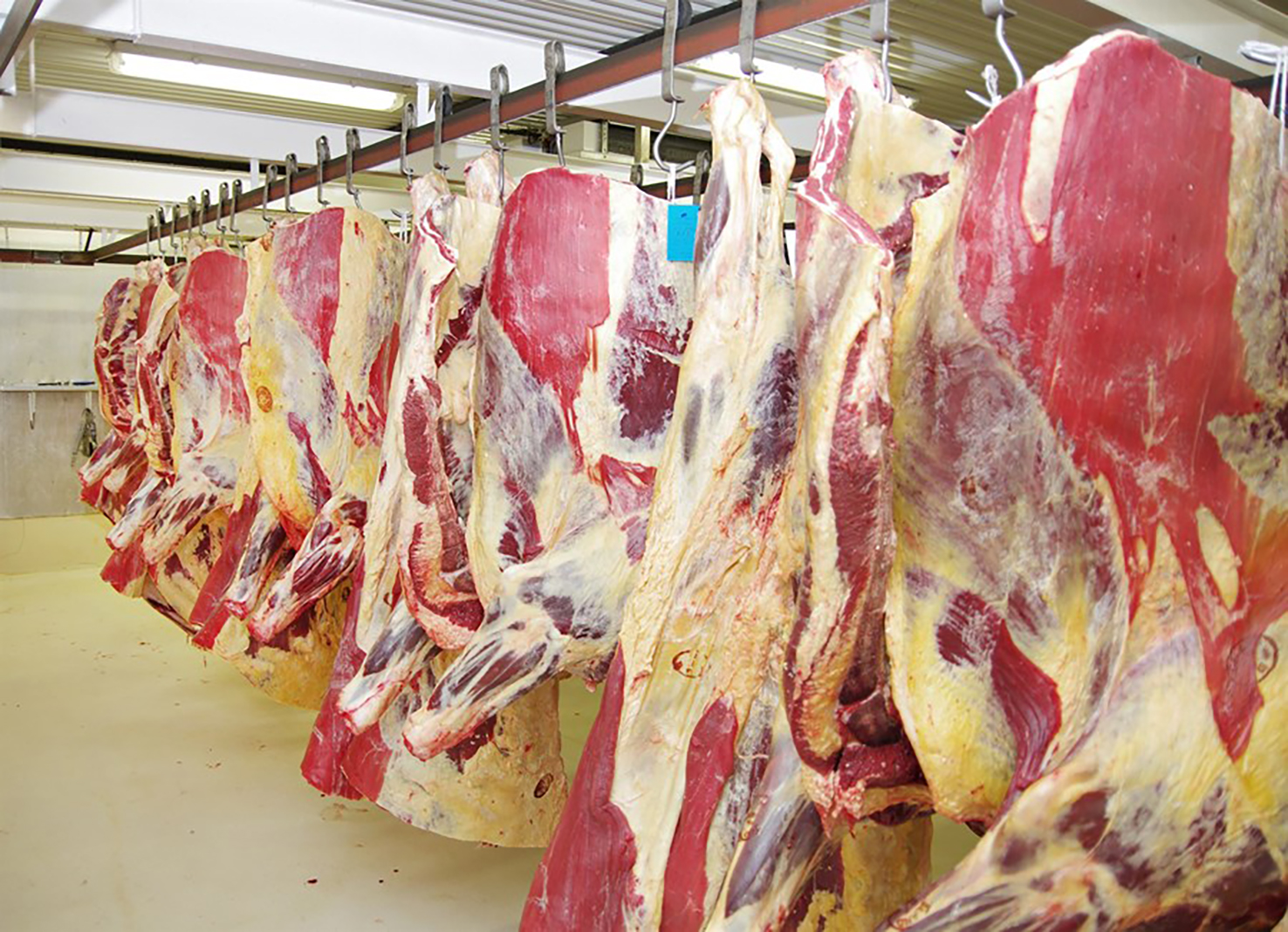 Afurðaverð hækkar