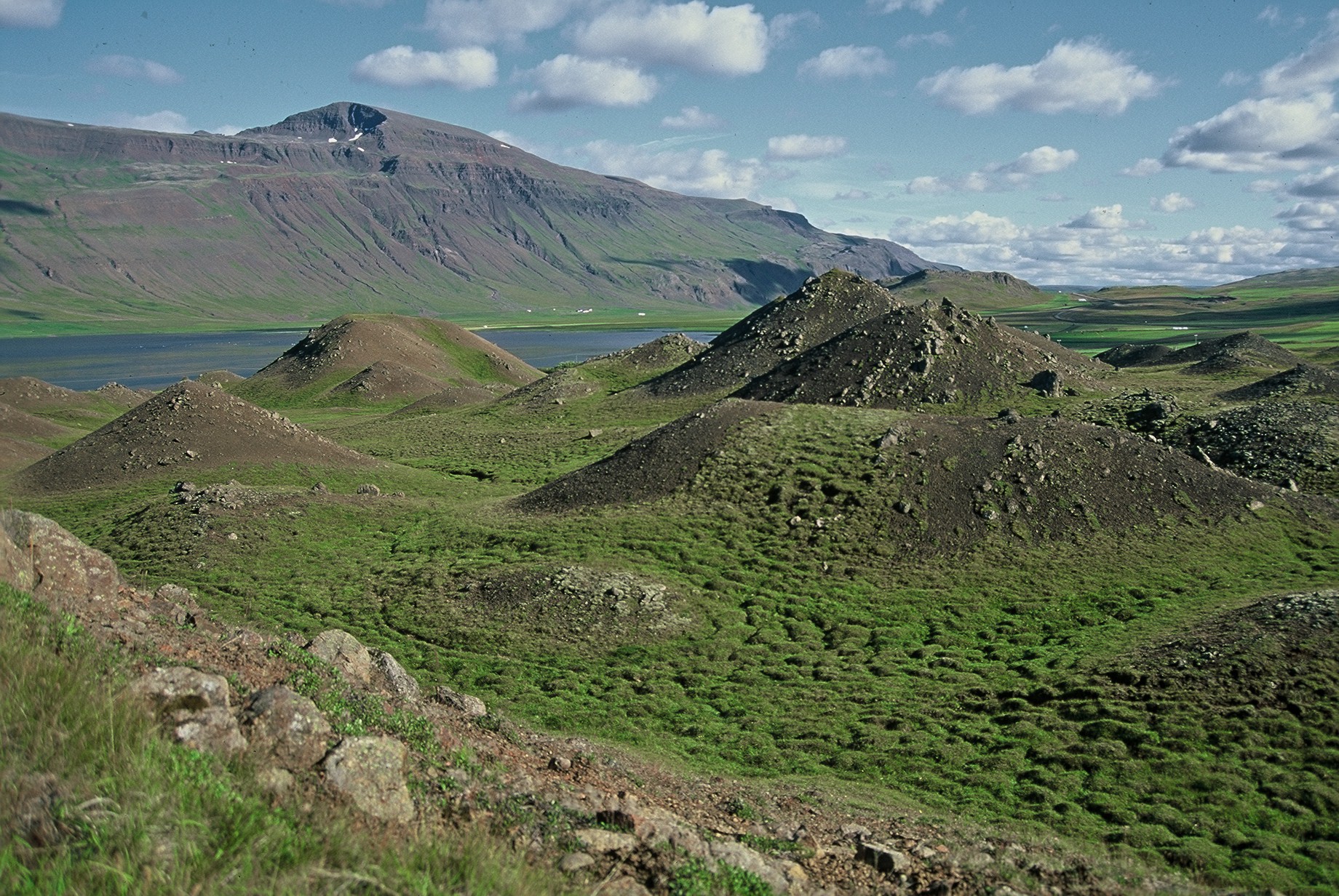 Skylda að merkjalýsa fasteignir