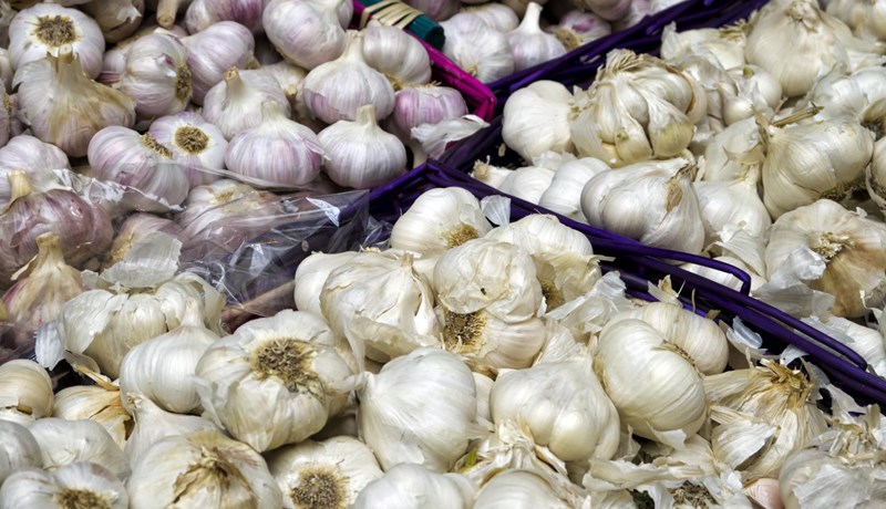 Hvítlaukur – drauga-, djöfla-, varúlfa- og vampíruhrellir