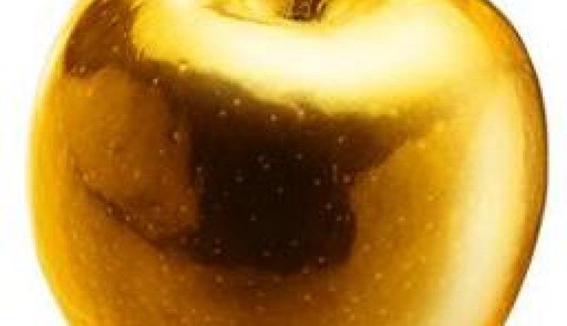 Íslendingabyggð á öðrum hnetti