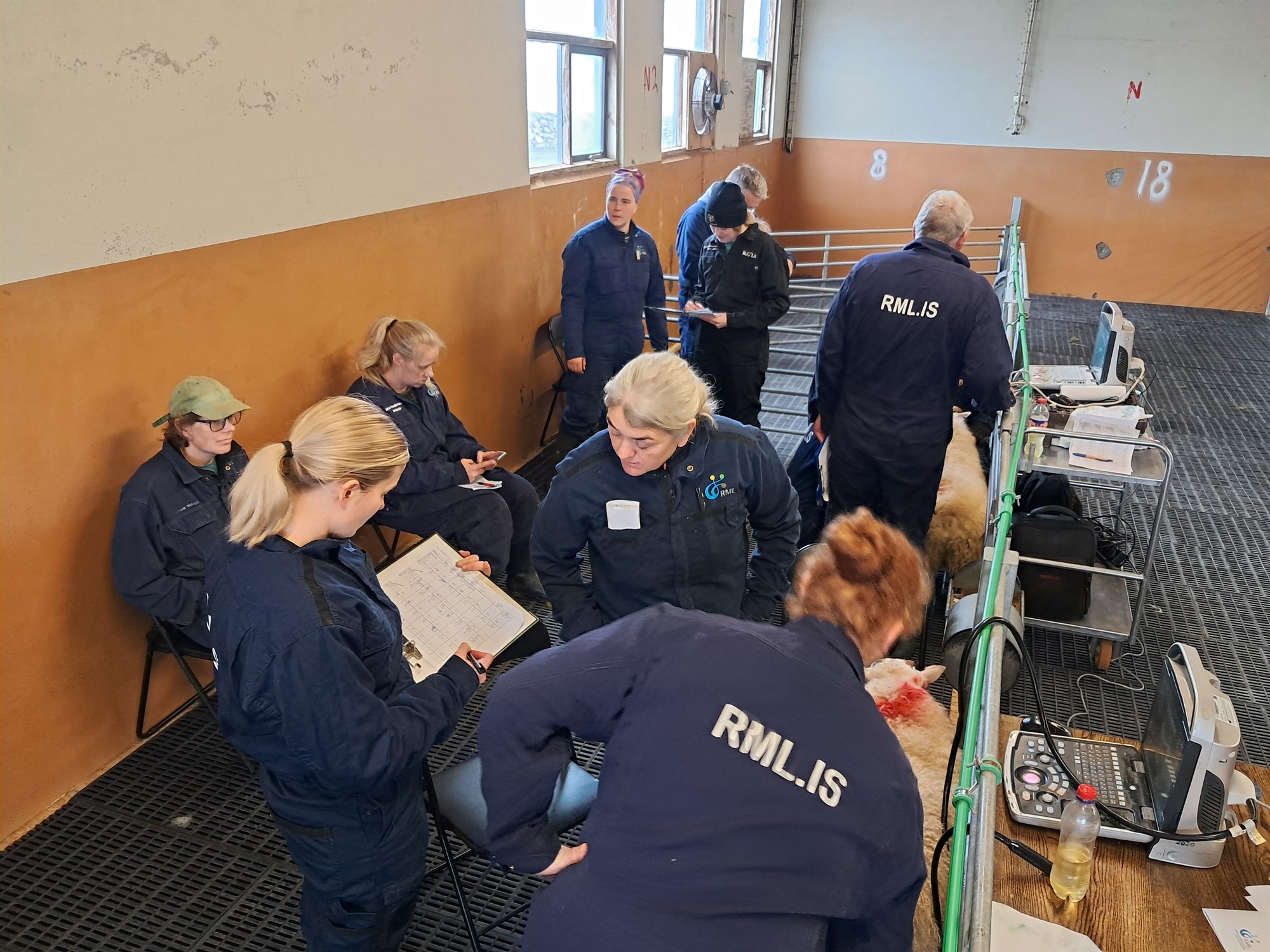 Um ásetningsval haustið 2025