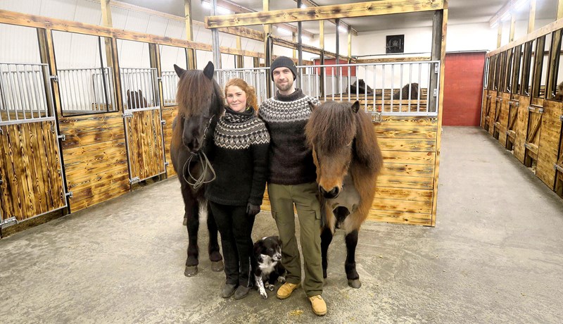 Draumahesturinn er fangreistur, viljugur, taumléttur og geðgóður töltari