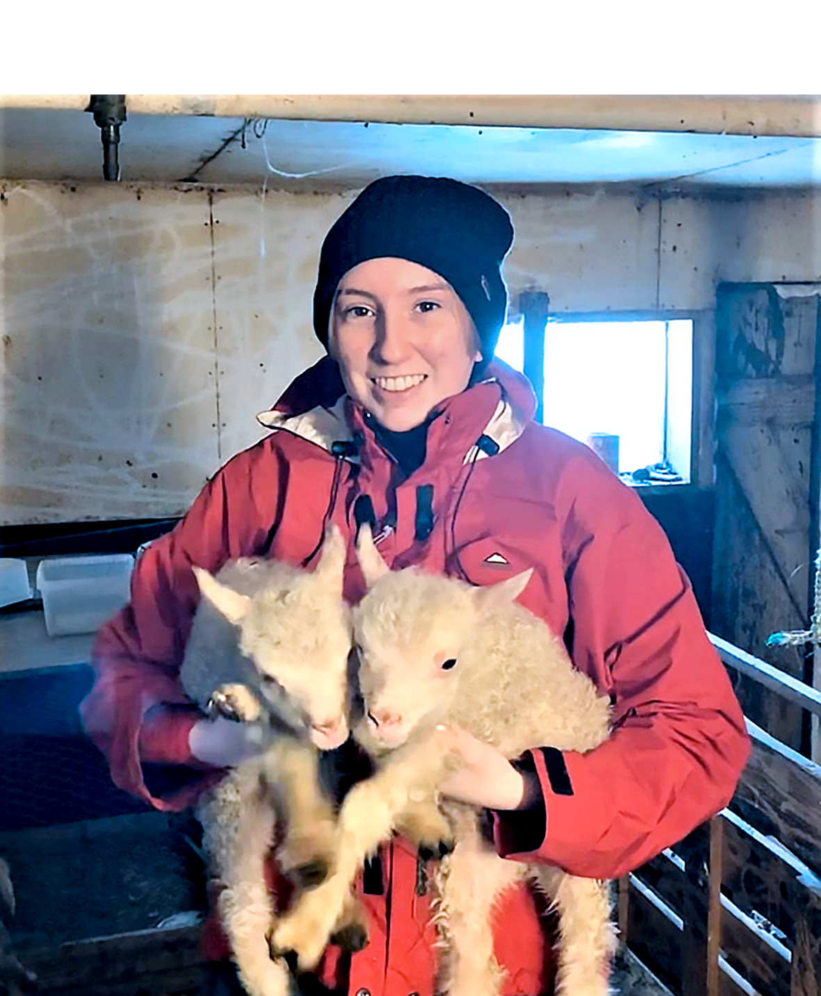 Hlutu nöfnin Kóróna og Veira