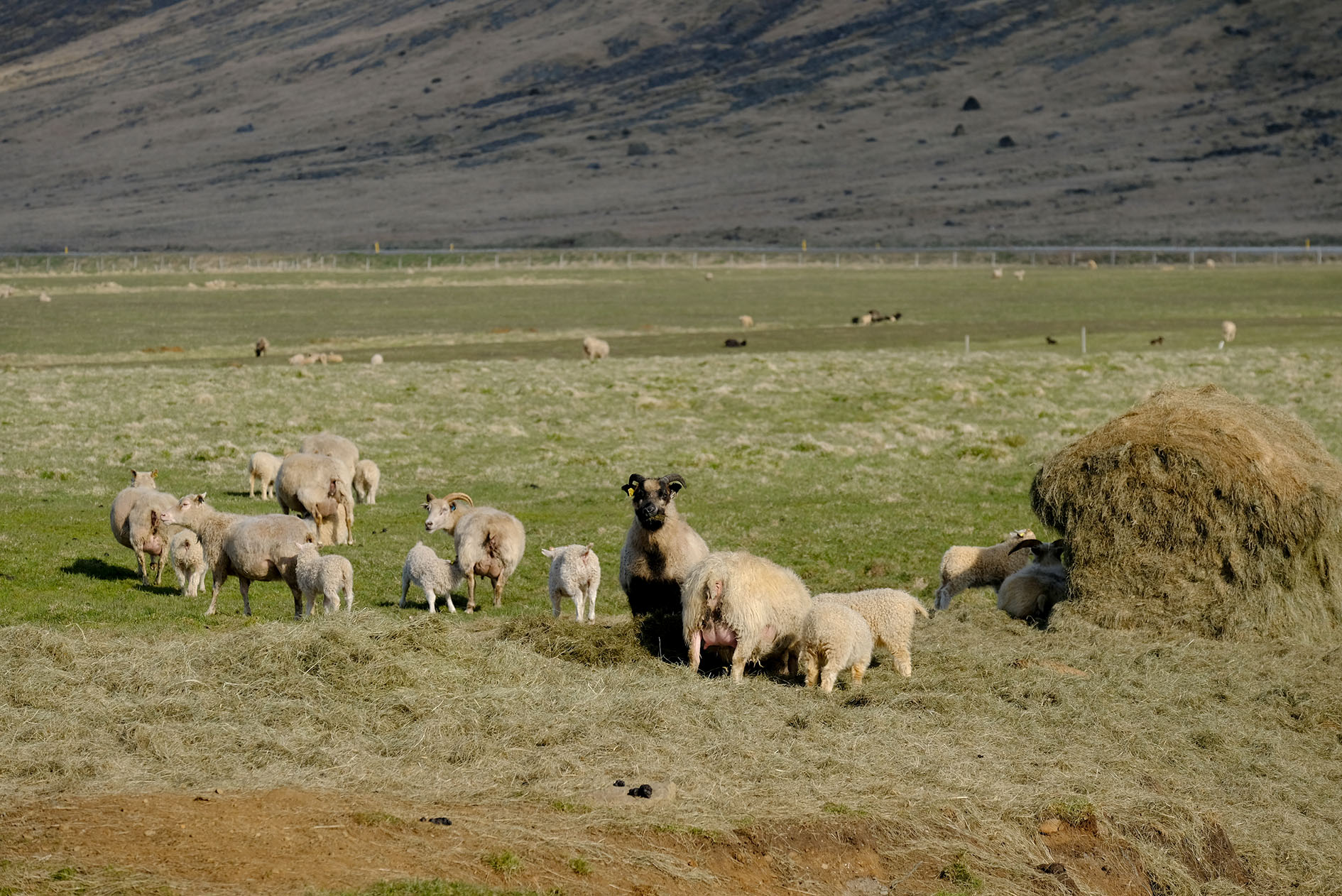 Ekkert viðbótarfjármagn