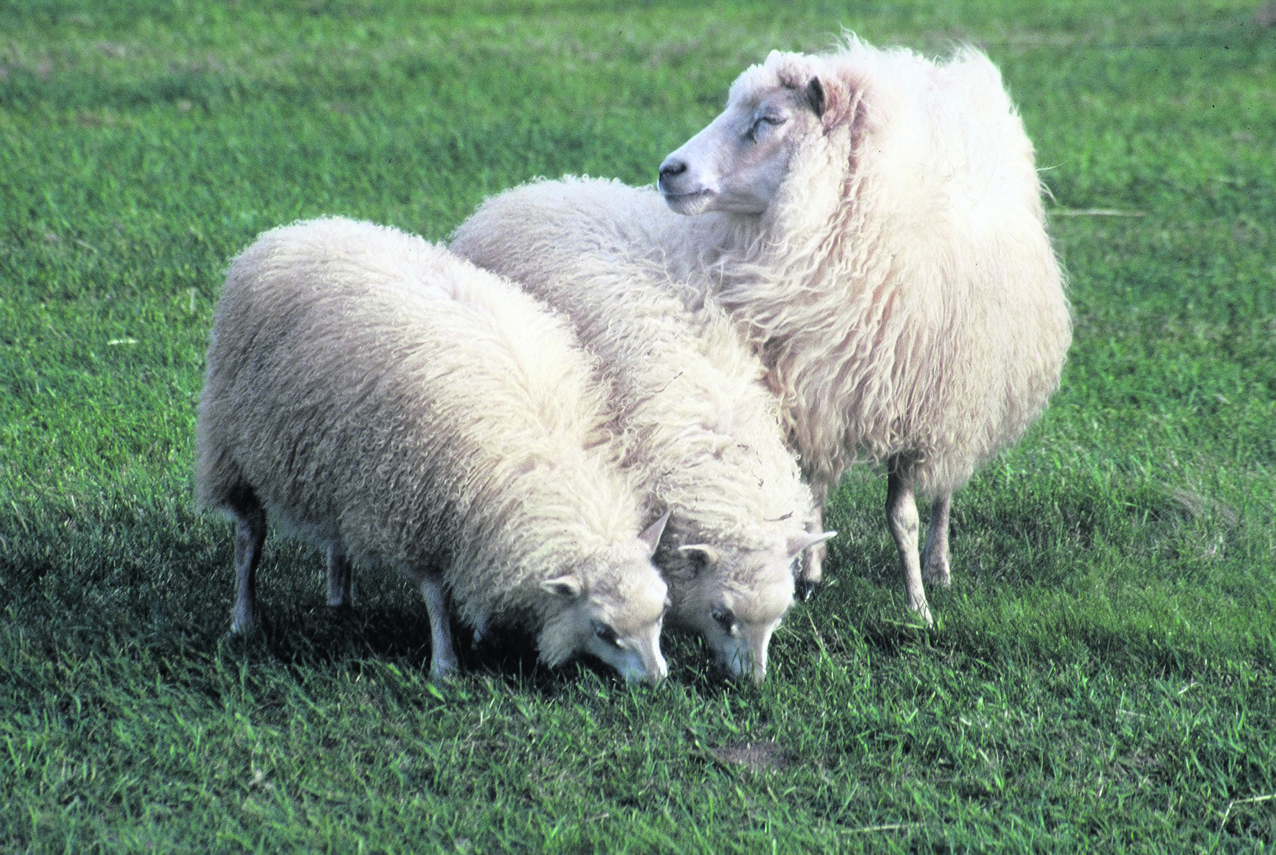 Landnýtingarkröfur án lagastoðar