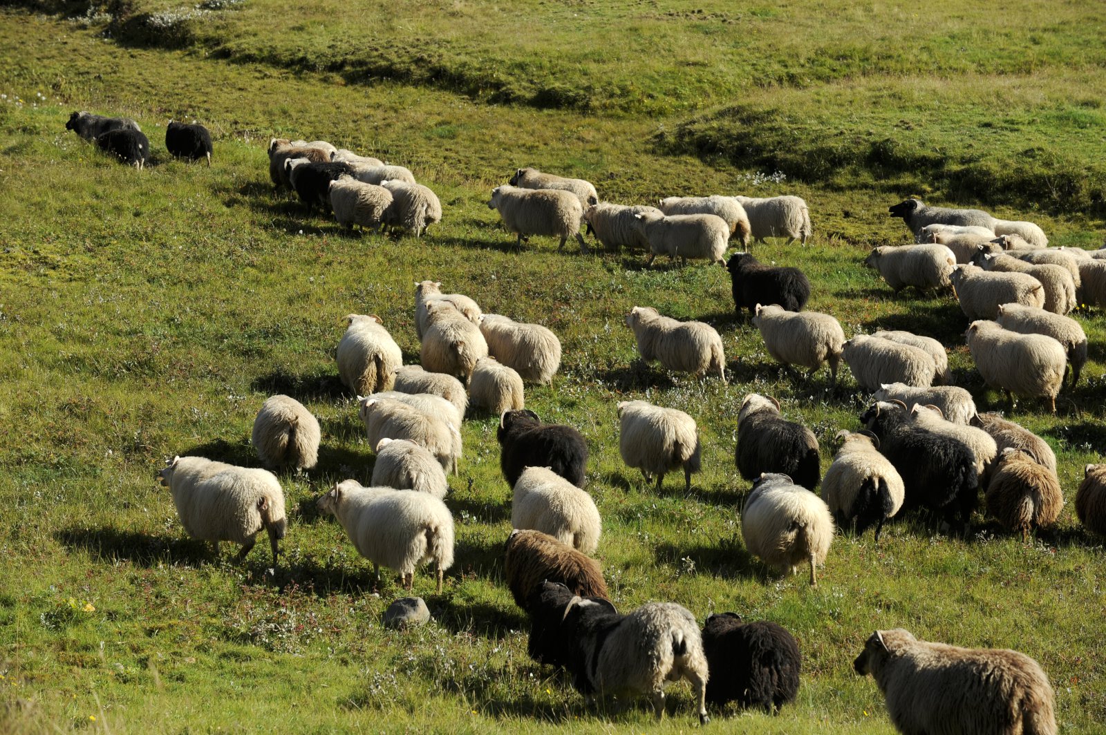 Afur&#240;ir eftir hverja kind aldrei veri&#240; meiri – en f&#233; f&#230;kkar miki&#240;