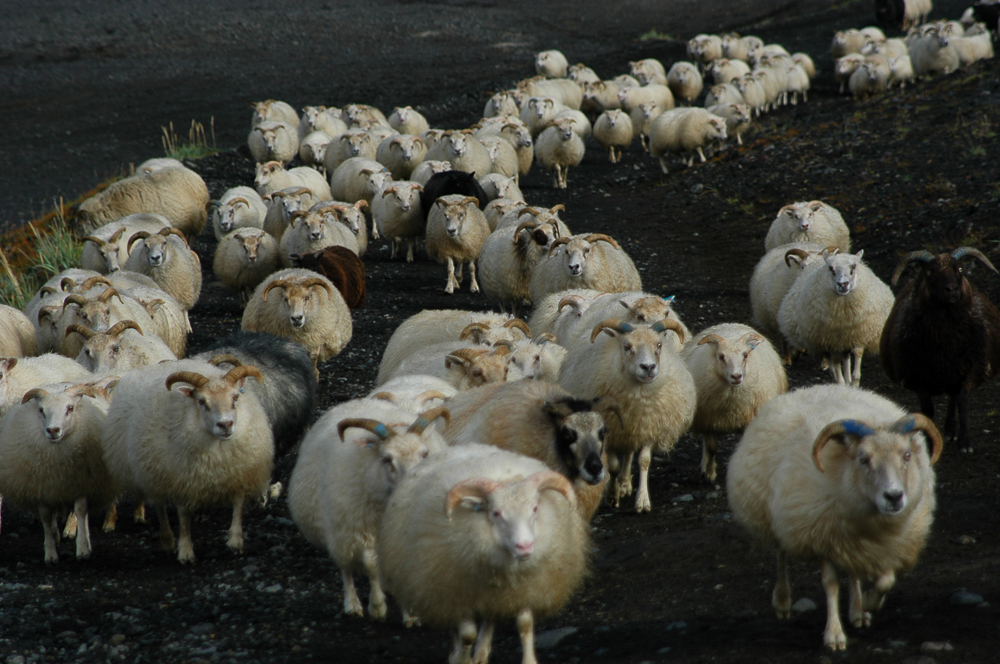 Bændur geta ekki beðið og vonað