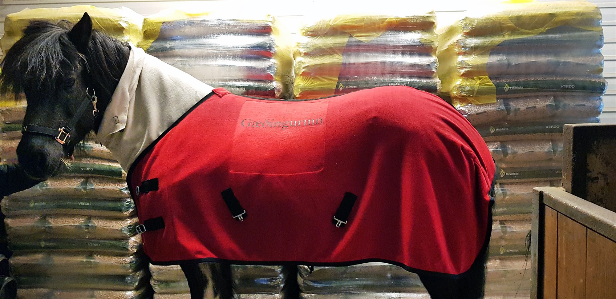 Saumar Covid-grímur, hestaábreiður og merkir fatnað og reiðtygi