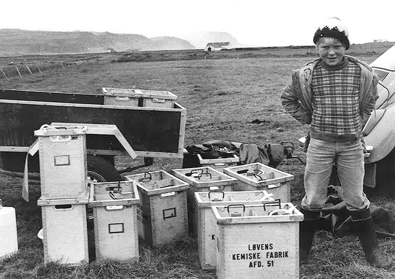 Blóðtaka úr hryssum í Landeyjum