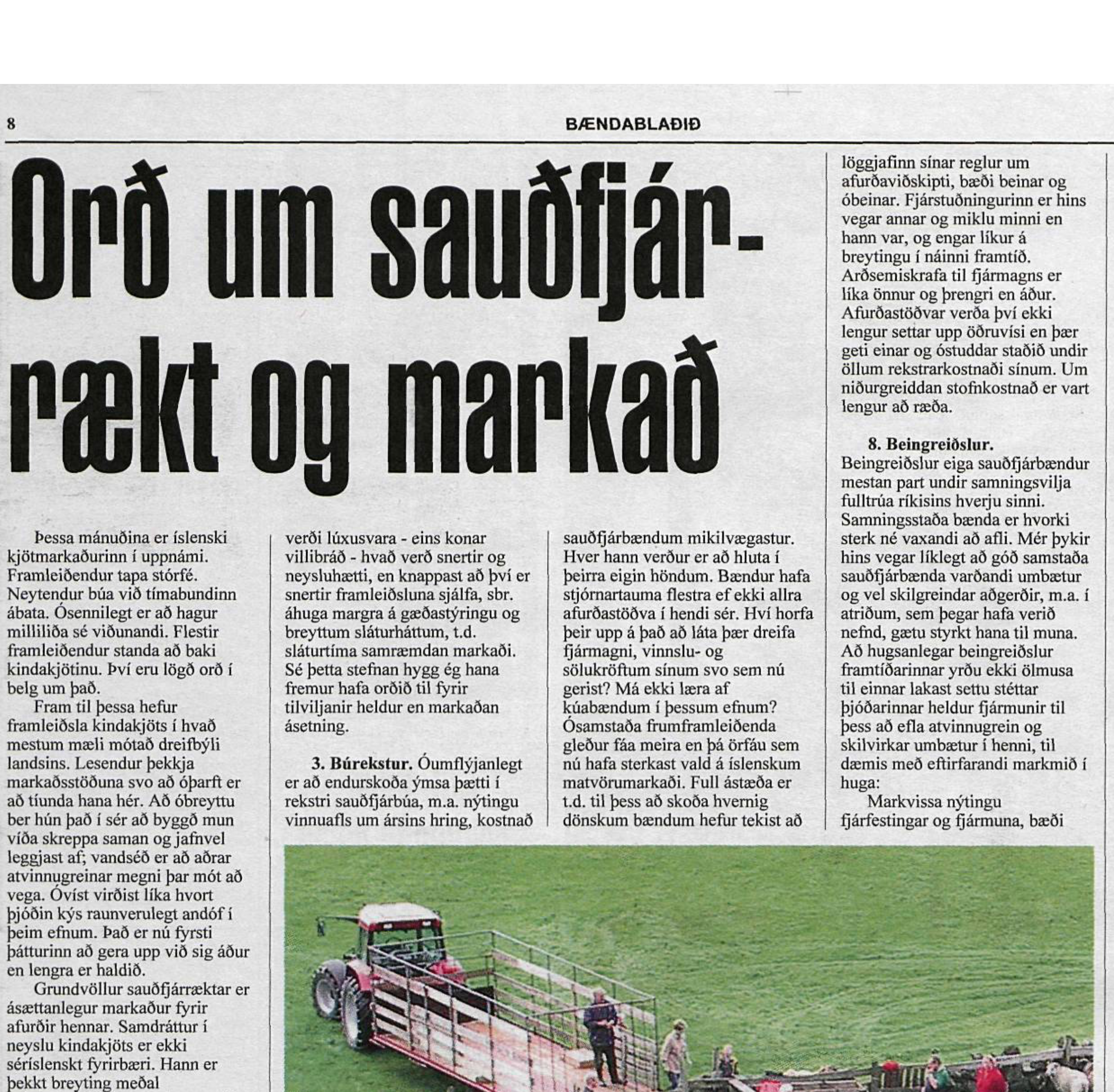 Nokkur orð um slæma markaðsstöðu sauðfjárafurða í byrjun árs 2003