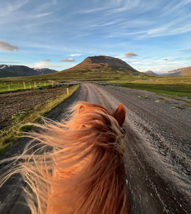 Ennishnjúkur blasir við