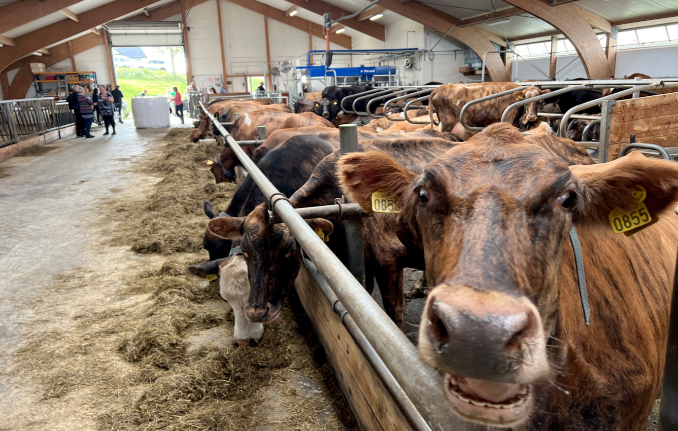 Lágmarksverð mjólkur hækkar