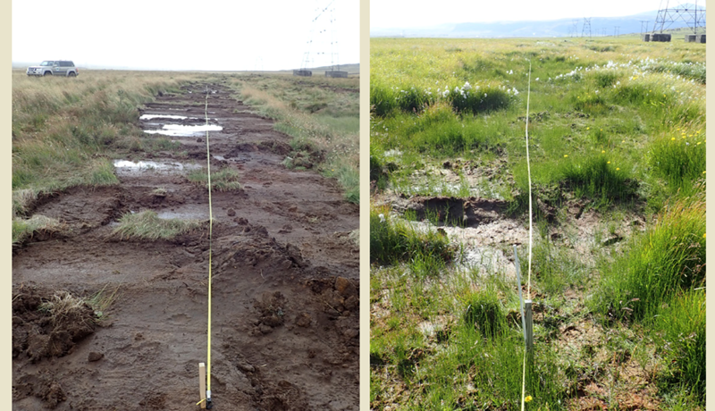 Evrópuráðstefna um endurheimt vistkerfa