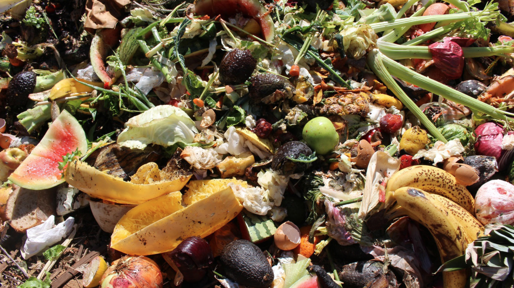 Vegvísir um nýtingu lífrænna efna sem áburð