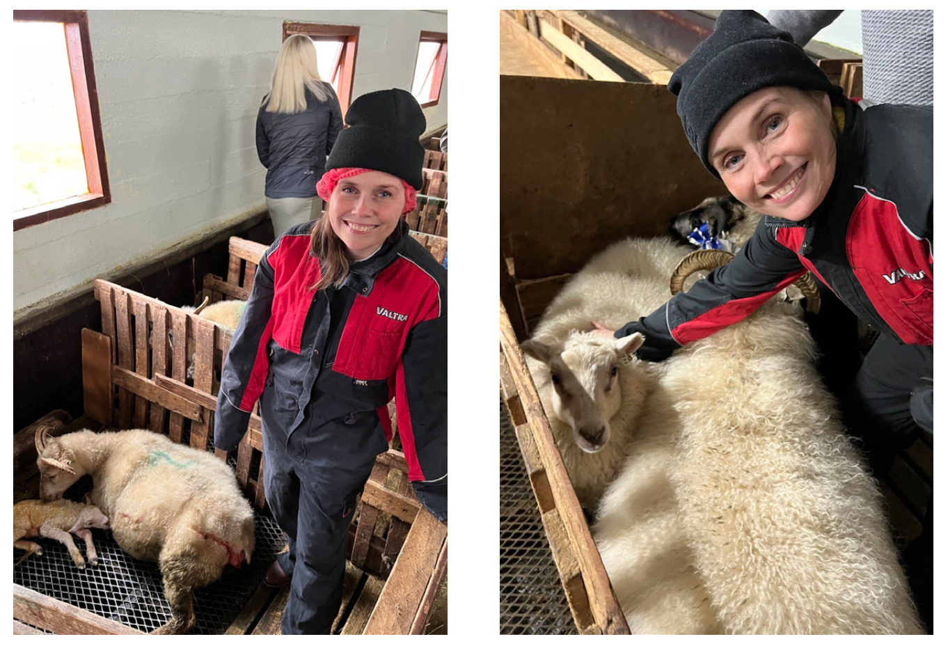 Katrínu ekki slátrað