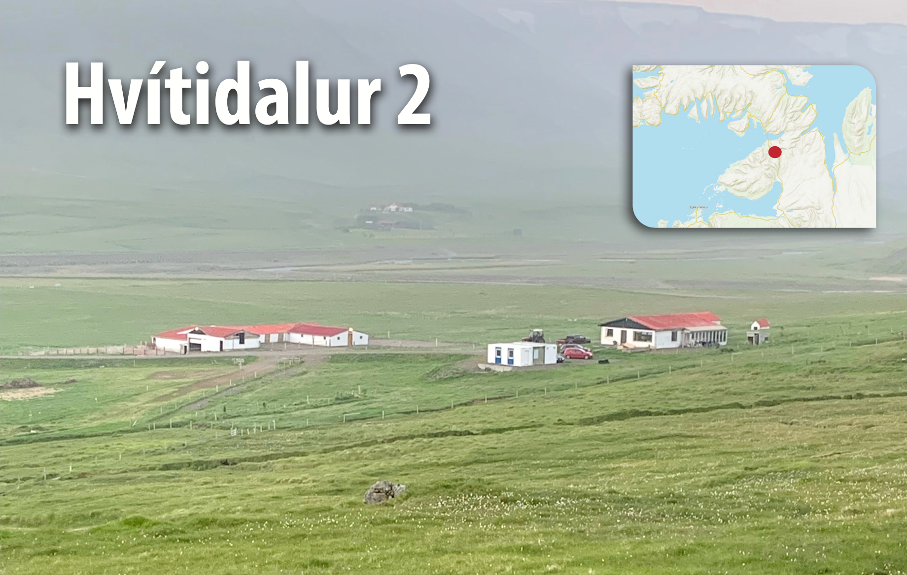 Hvítidalur 2