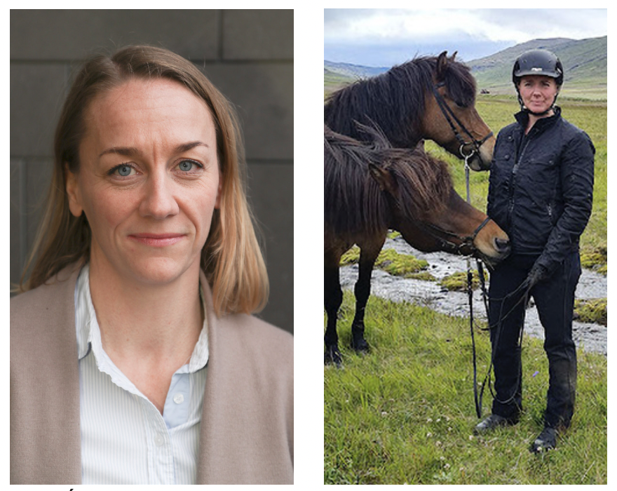 Hvenær skal gripið til aðgerða gegn illri meðferð á dýrum?